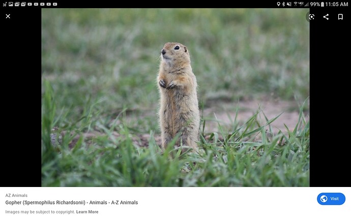 Screenshot_20200205-110533
