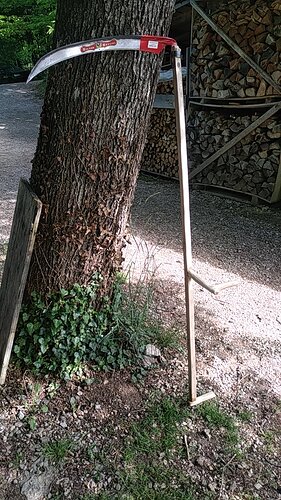 IMG_20200509_094328