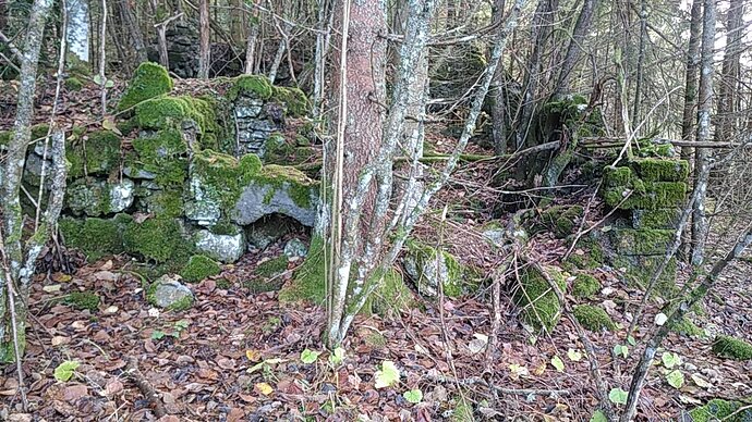 IMG_20201114_121504