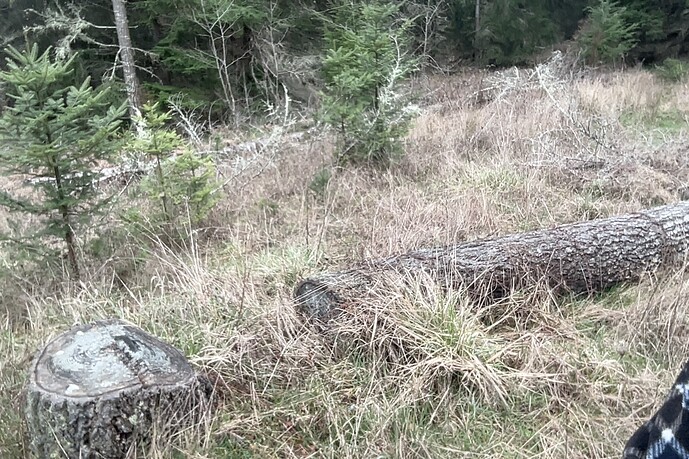 Photo on 3-15-26 at 9.49 AM