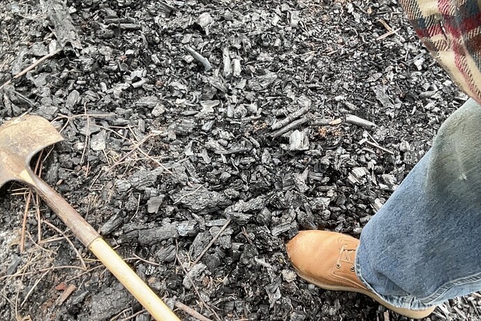 Photo on 6-24-24 at 10.52 AM