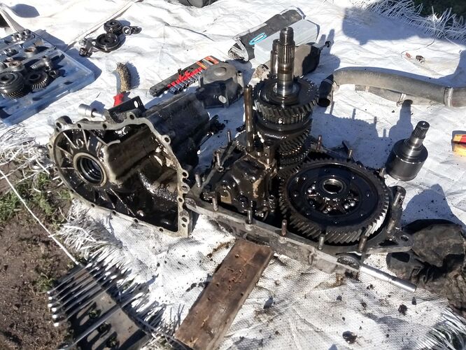 photo_2026-04-09_08-10-30