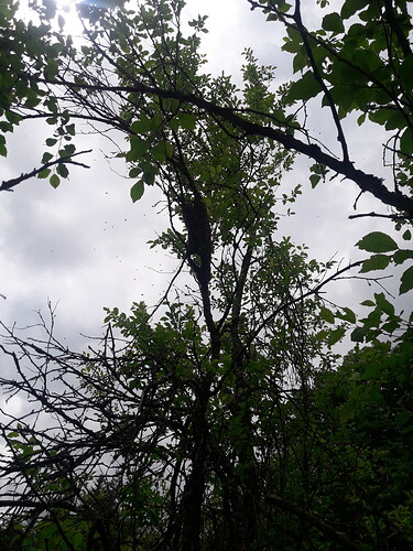 20180523_123510