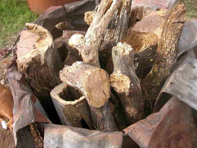 Junk_wood_for_charcoal and biochar