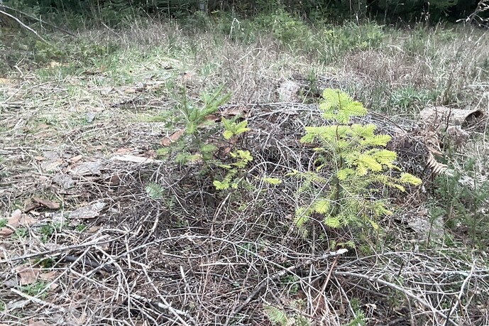 Photo on 3-15-26 at 9.46 AM