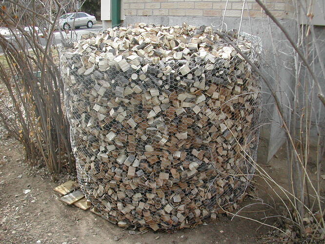 DSCN3175