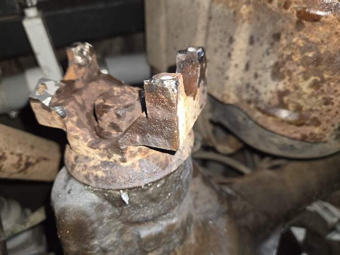 20260302_162459_copy_3744x2808