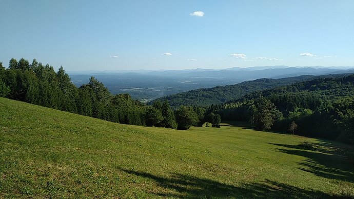 IMG_20210819_172834