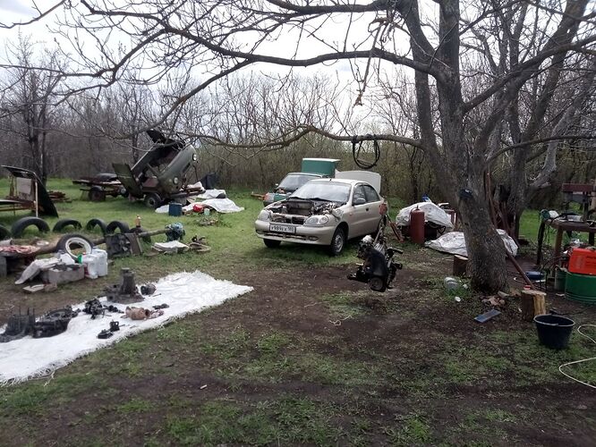 photo_2026-04-09_08-11-44