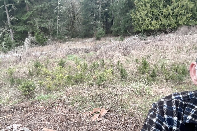 Photo on 3-15-26 at 9.45 AM