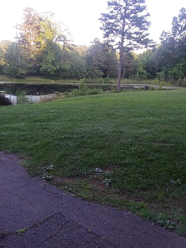 20210624_194935_HDR