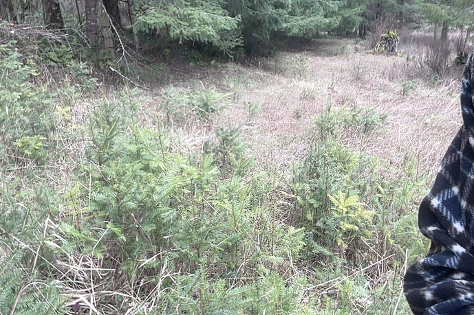 Photo on 3-15-26 at 9.47 AM