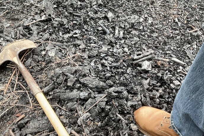 Photo on 6-24-24 at 10.52 AM #2