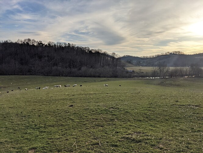 farm