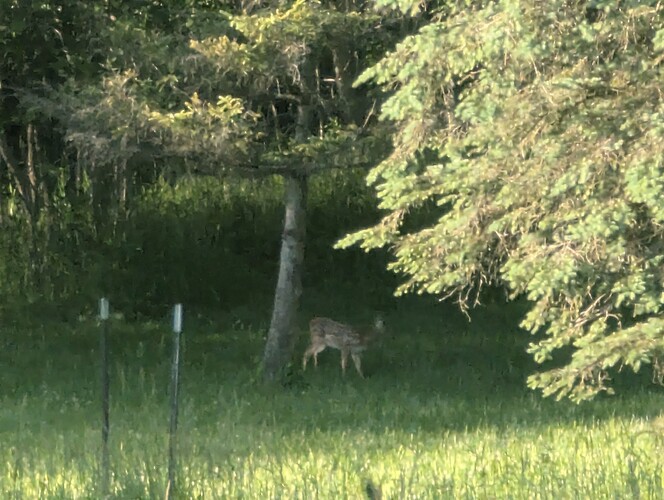 PXL_20260616_000934424