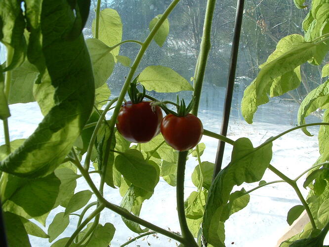 DSCF0009