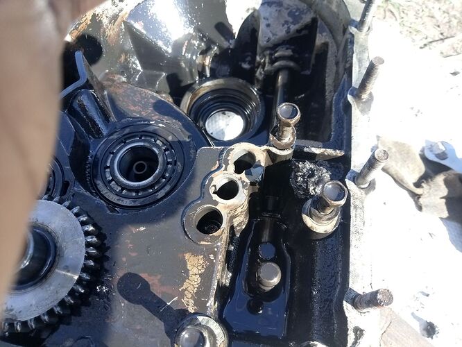 photo_2026-04-09_08-10-37