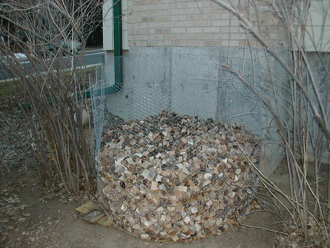 DSCN3173