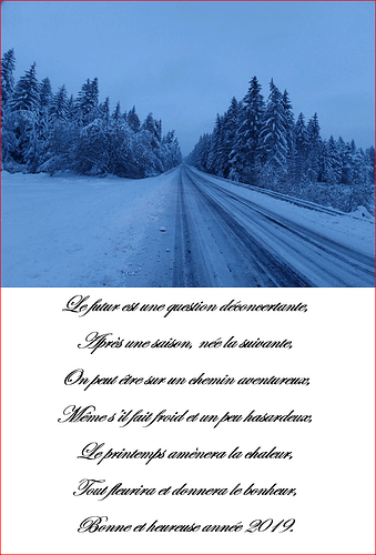 voeux 2019