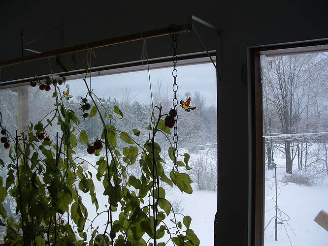 DSCF0016