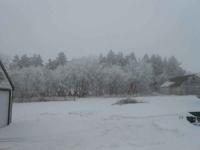 DSCN07331