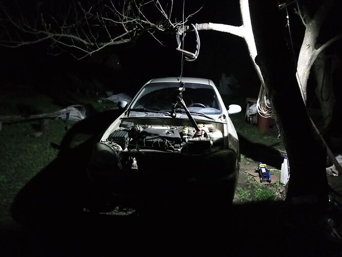 photo_2026-04-09_08-10-08