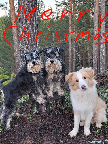 Messenger_creation_F512BFF4-3EDA-4C11-9C73-EB79D2372F9C