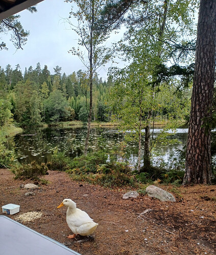 20260919_103503