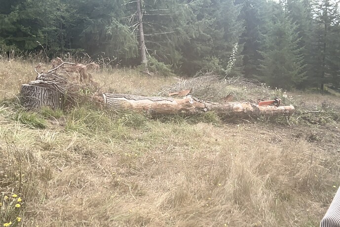 Photo on 9-12-25 at 1.13 PM