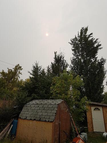 Resized_20180816_163339