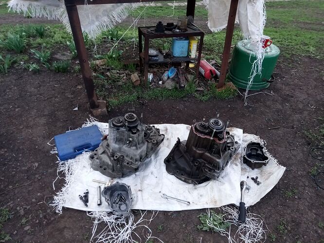 photo_2026-04-09_08-09-59