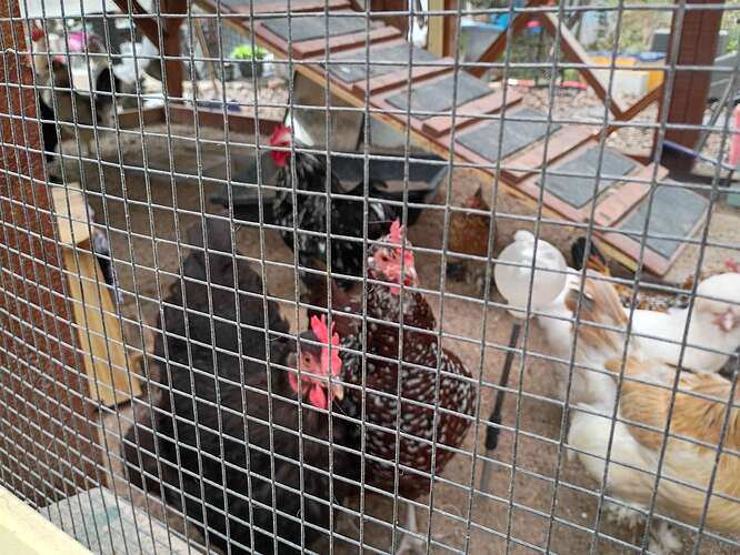 Compress_20260330_145241_1222