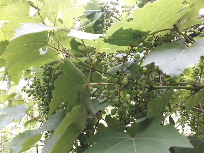 20180614_182614