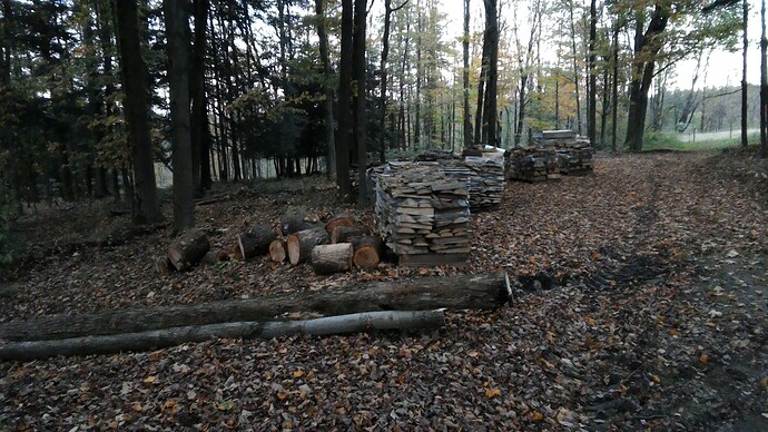 P_20171014_181252