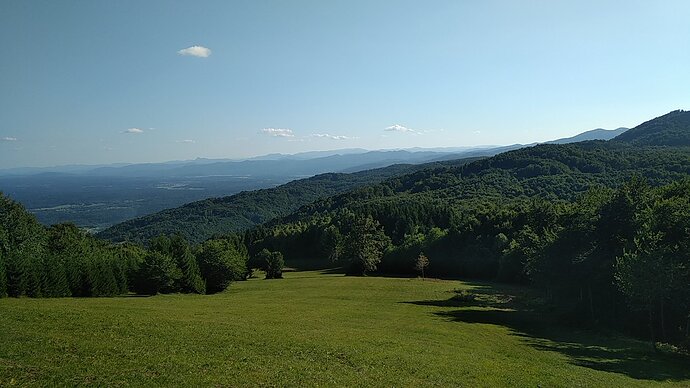 IMG_20210819_172859