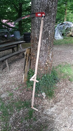 IMG_20200509_094310
