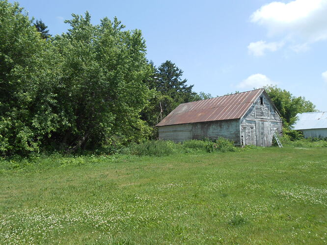 DSCN0568