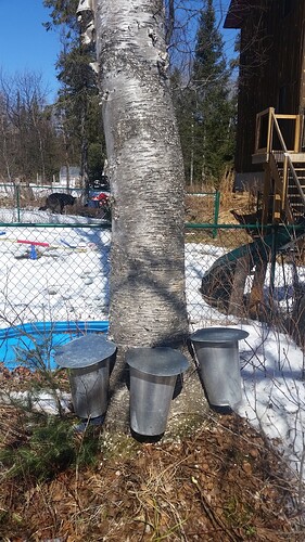20180325_130456