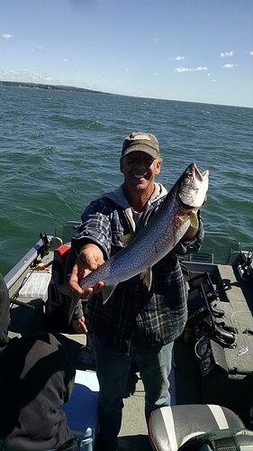Lake trout