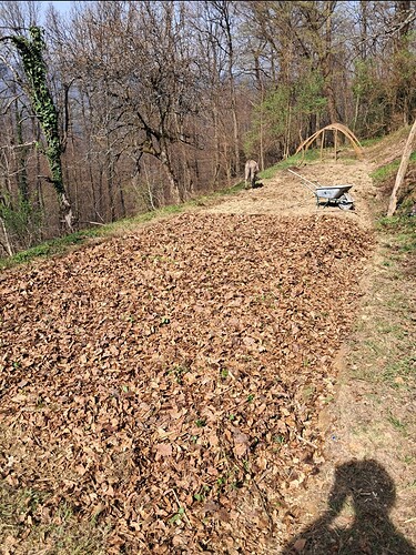 Screenshot_20260406_094630_Gallery