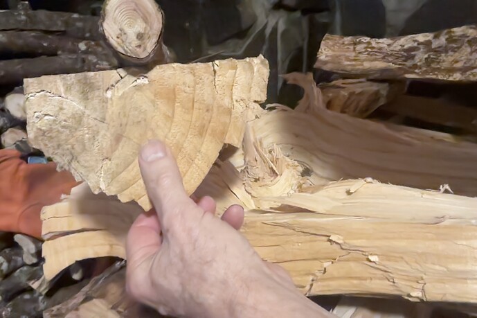 Photo on 12-9-25 at 8.23 AM