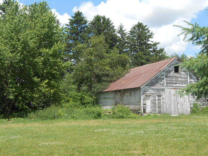 DSCN0538