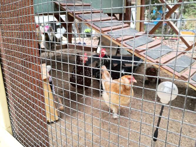 Compress_20260330_145241_1002