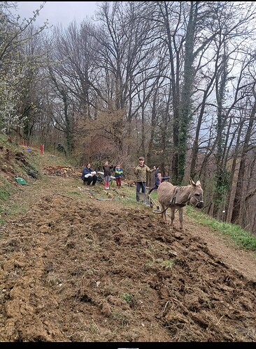 Screenshot_20260406_094432_Gallery