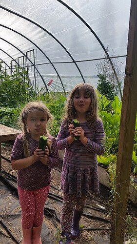 20170820_093830