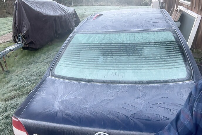 Photo on 3-26-26 at 7.36 AM