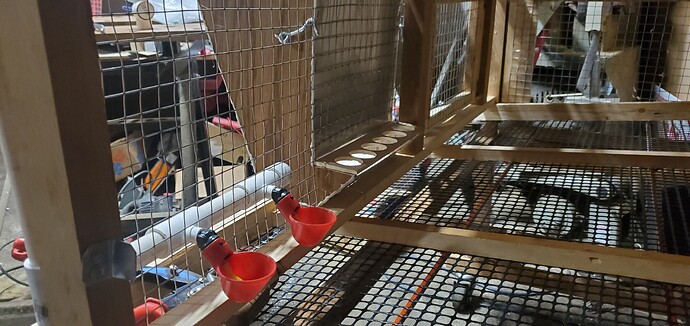 10 inside feed and water and egg roll out