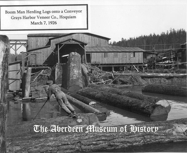 Grays-Harbor-Logging-History-Aberdeen-Museum-of-History