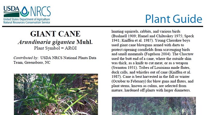 Giant Cane guide