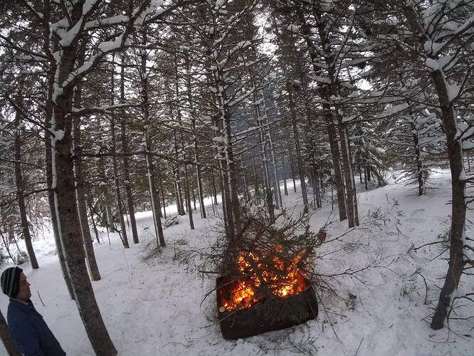 faire du charbon en forêt 3